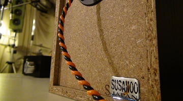 DSC00553.JPG